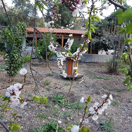La Hoyita De Tunte